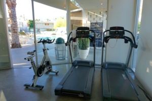 ace hotel palm springs treadmill