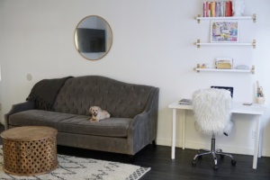 minimalist living room
