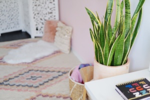 bohemian decor