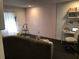 pink wall