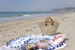 beach picnic ideas
