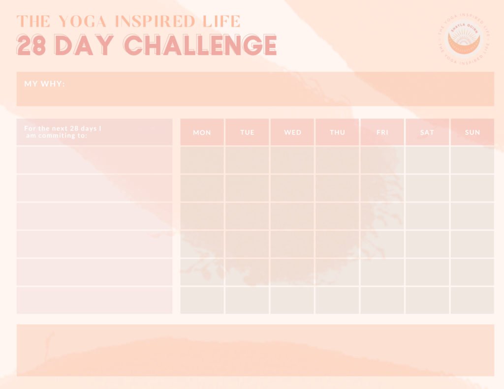 TYIL 28 Day Challenge Habit Tracker 1 - shaylaquinn.com