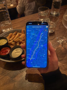 NYC Walking Route map view